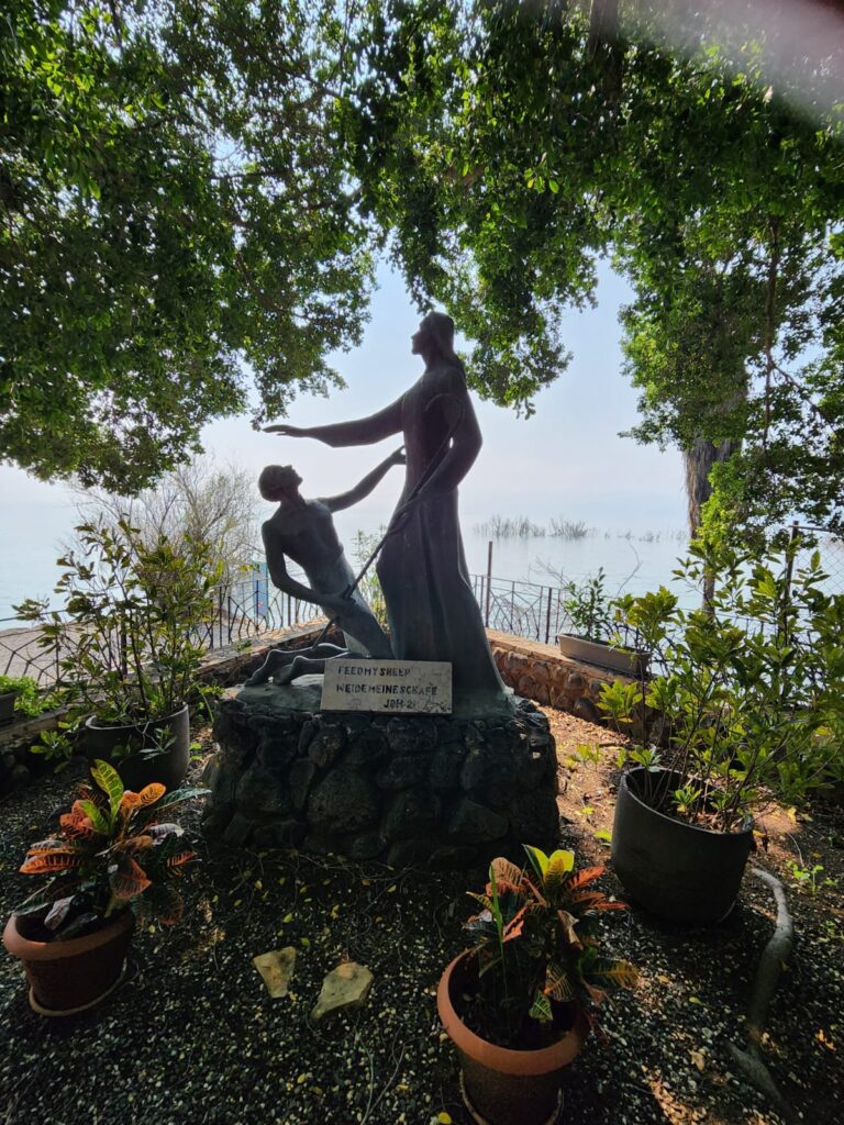 בכרות פטרוס3