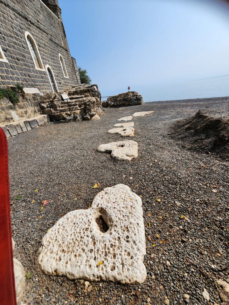 בכרות פטרוס4